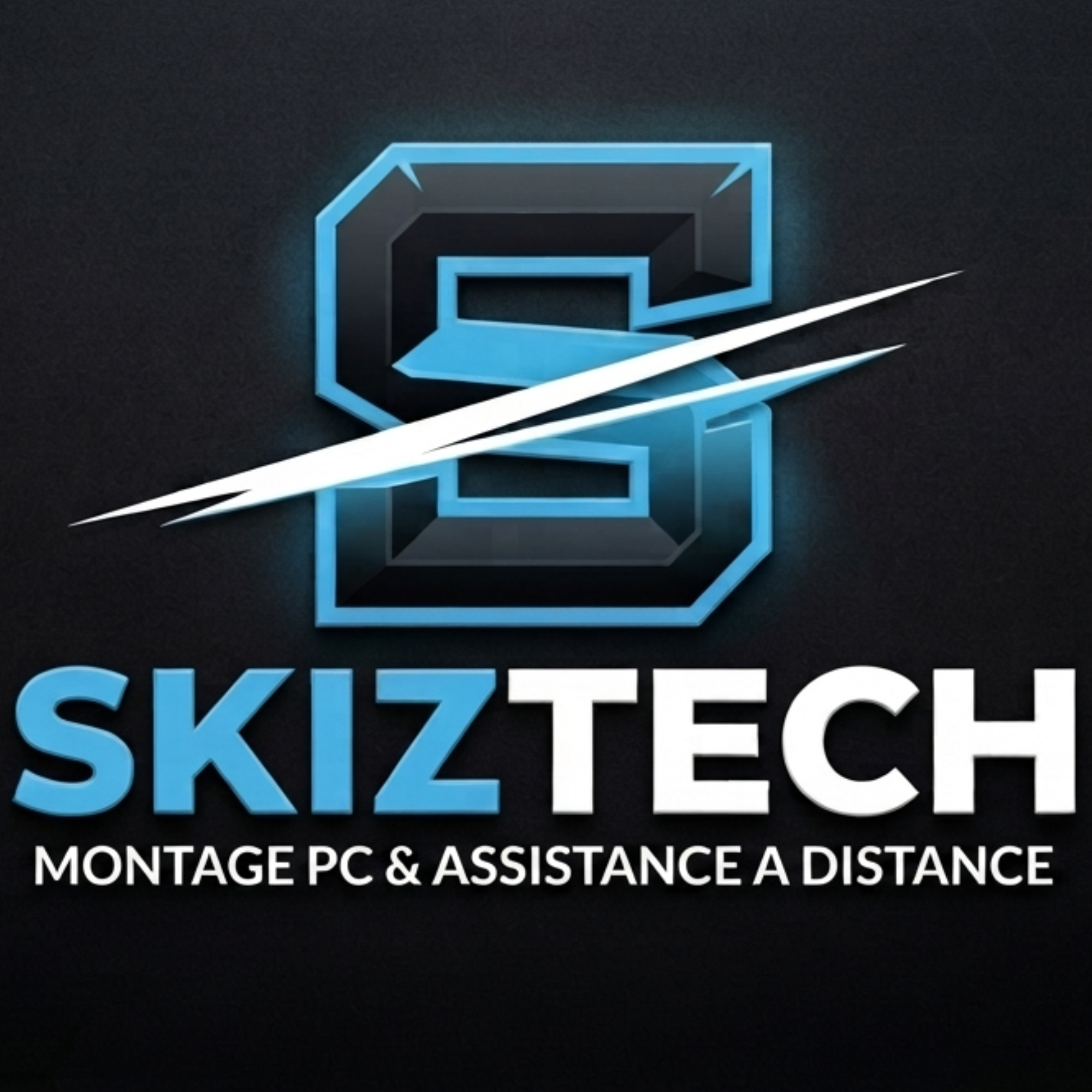 Skiztech Logo